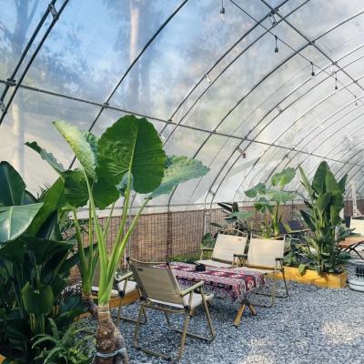 Moeda dos EUA Sistema de estufa de película vegetal multi-espans para luz solar e flor de morango