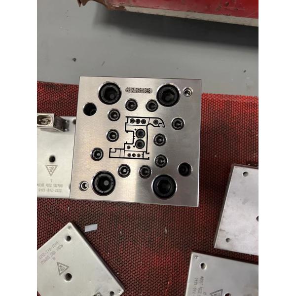 Hollow Lattice Plate and Door Plate Mould Mould Cavity 1 for Door Panel Wall Panel