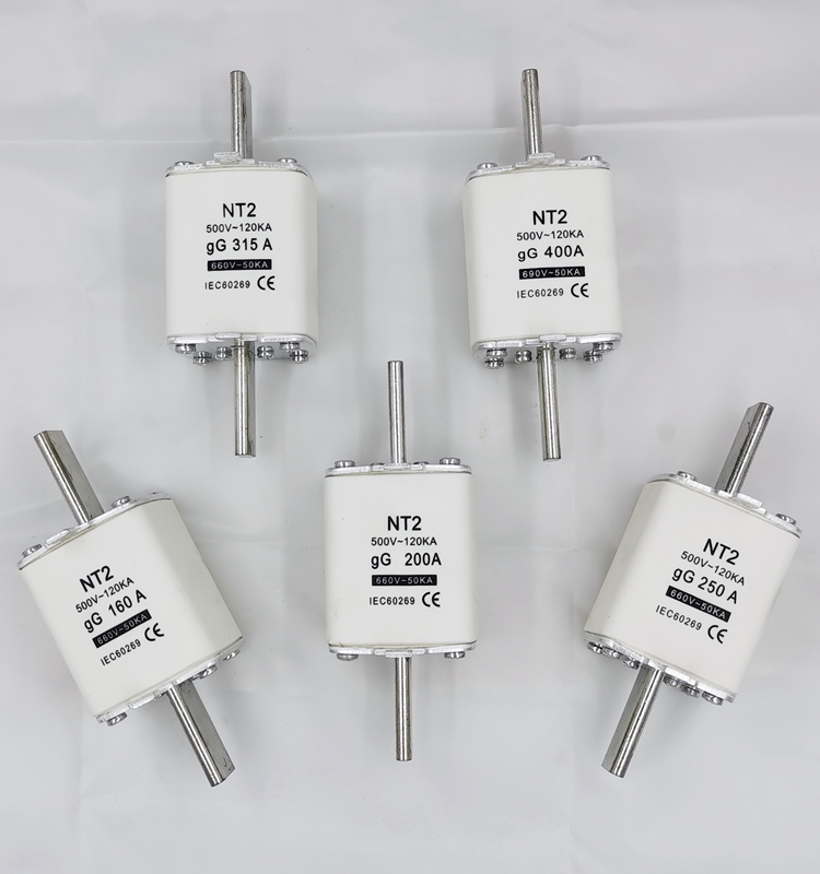 High Breaking Capacity HRC Ceramic Copper Blade Fuse Block Links 500V 120KA 200A NT2/NH2 Non-Indicating Fast Blow CE/TUV