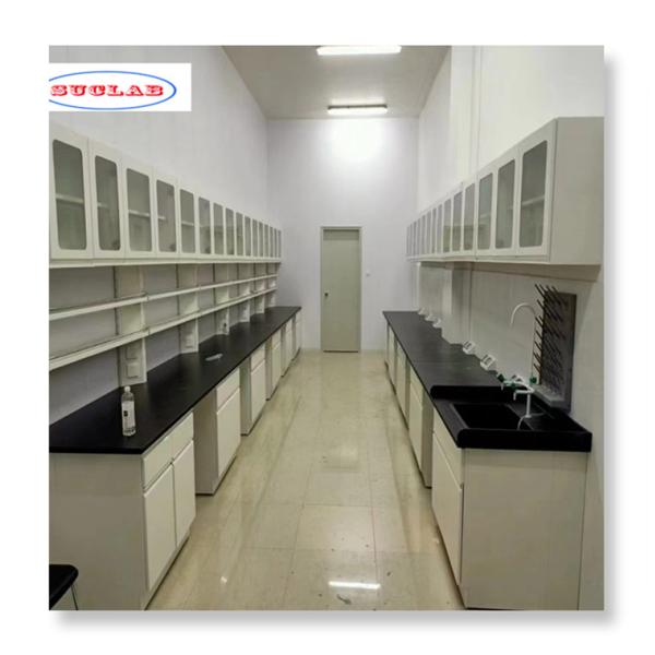 Порошковое покрытие лабораторной мебели Долговечная и надежная 1-5 лет