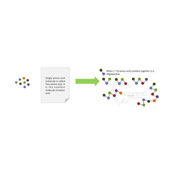 Low Molecular Weight Amino Acid 80 Powder Organic Fertilizer