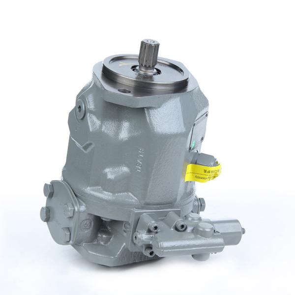 Straight Shaft Swashplate Piston Type A10vso140 for Hydraulic Driven Reciprocating Pump
