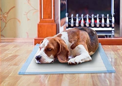 Disposable Underpads Ultra Absorbent Undepad Baby Adult Pet Bed Pads Worry Free Overnight Protection Non-Skid Multiple