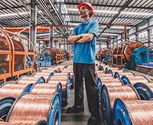 0.6/ 1kV XLPE изолировало силовой кабель 3 ядров стальной ленты бронированный для распределения силы