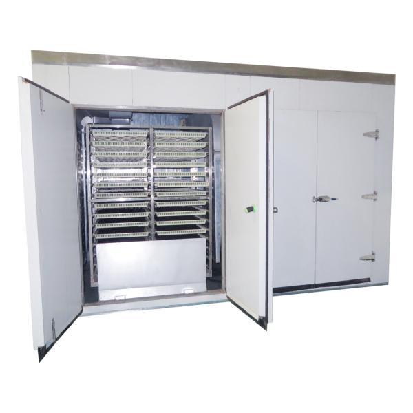 La chaleur auxiliaire électrique 6m d'Oven Dryer Machine Hot Air du fruit
