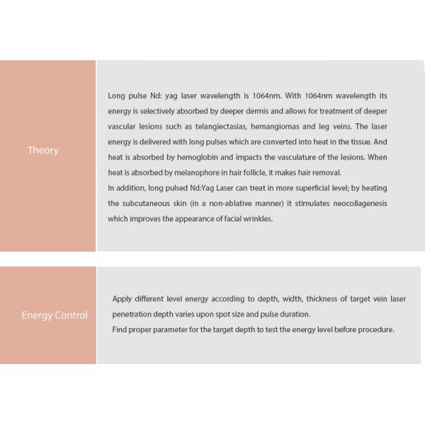 Hair Removal Long Pulsed Nd Yag Laser Stationary Style With Ce Approved