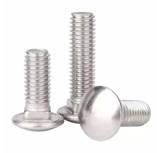 Din603 Carriage Bolts 38 4 Grade 5 High Quality Hot Selling Stainless Steel Customized in Various Sizes for Construction