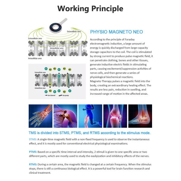 La machine de thérapie par transduction électromagnétique réduit les douleurs articulaires de l' épaule / de la hanche / du genou / de la cheville