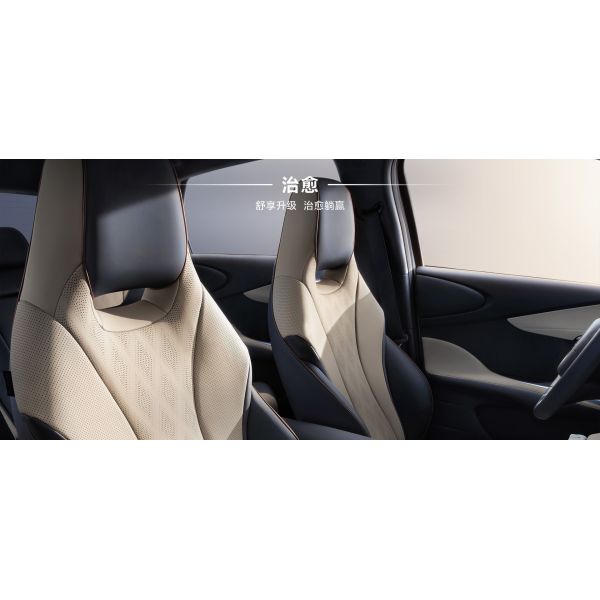 BYD 2025 Dolphin 520km Knight Edition EV