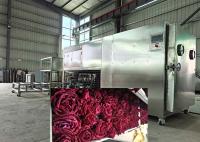Large Industrial Freeze Dryer For Beverage And Pharmaceutical