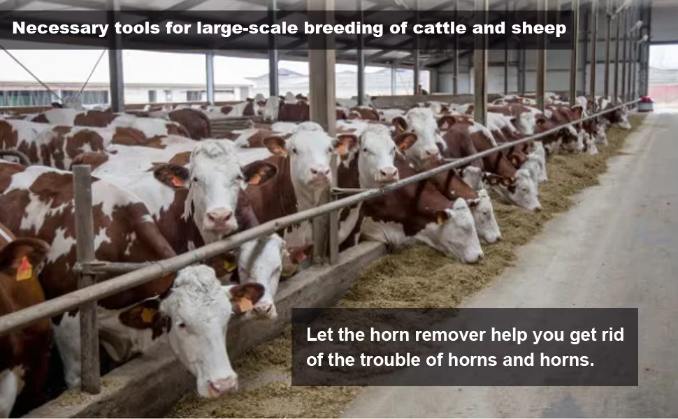 Electric Dehorner with Rapid Heating High-Purity Copper Heating Head and Ergonomic Anti-slip Handle for Livestock Horn Removal