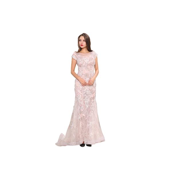 Pink Appliqued Middle Eastern Evening Gowns , Short Sleeve Middle East Women'S Dress