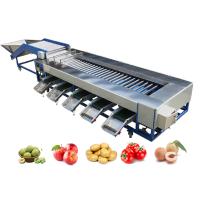 Máquina de clasificación industrial de tomates en rodillos para la línea de procesamiento de frutas y verduras SUS304