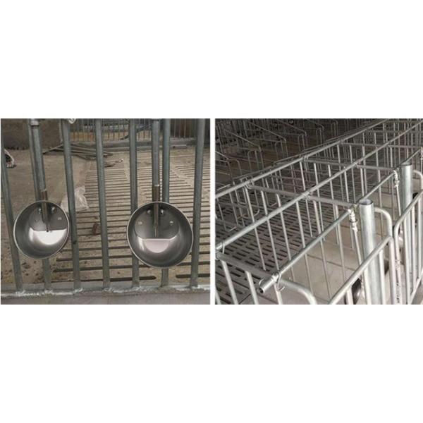 Stainless Steel Hog Waterer Pig Feeders and Drinkers Pig Water Drinkers