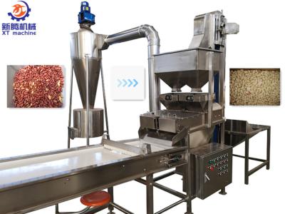 Máquina de descascamento industrial automática para nozes das avelã dos núcleos do amendoim
