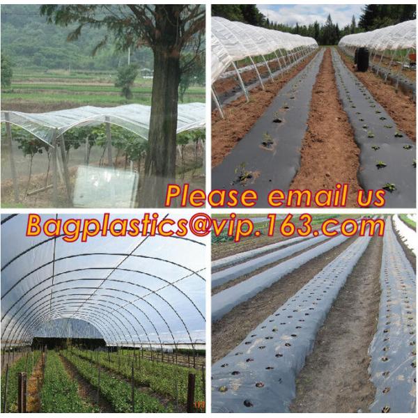 Agricultural Perforated Biodegradable Mulch Film Mulch Film Gardening Farming Film Outdoor Garden Landscape Weed Barrier