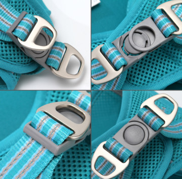 Небольшая проводка любимца нейлона котенка возлагает прогулку большого жирного жилета кота тревожности легкую