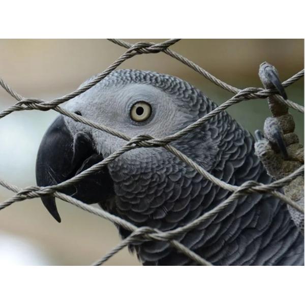Customizable Balustrade Cable Mesh with Wire Diameter 1.2mm-6.0mm and Mesh Hole Size