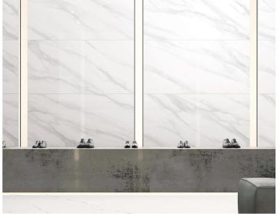 Le plein corps de GV Soncap que les tuiles de porcelaine ont poli le jet d'encre 3d blanc a glacé 450X900mm