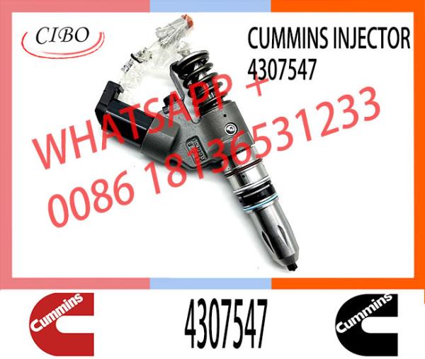 M11 Engine Injector 4307547 4928517 4903472 3411756 3080429 2080429
