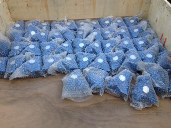 ANSI y strainer flanged ends
