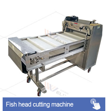 Vertical Aquaculture Fish Conveyor Belt Check Weigher Sorting Fruit &Vegetable Olive Grading for Sale Tilapia Grading Machine