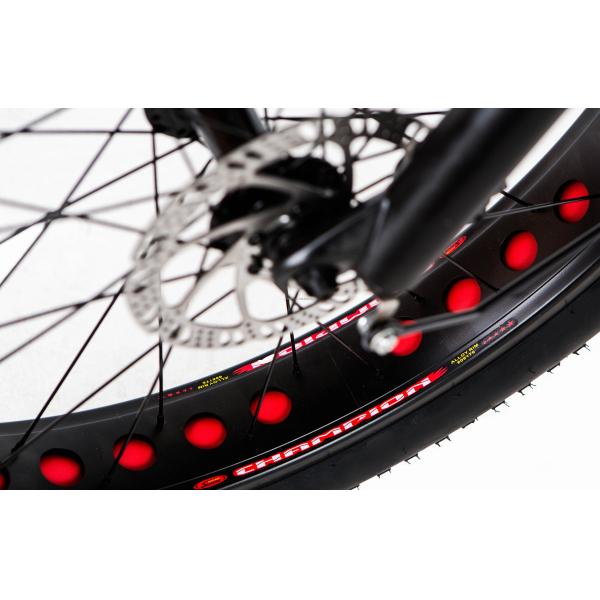 48V 1000W 17AH Lithium Battery OEM EN15194 CE Customized Electric MTB Mountain Fat Tire Bike