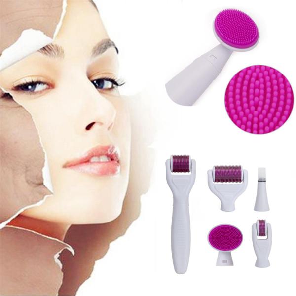 Derma Rolling System and Needle Material Stainless Steel / Titanium 6 In 1 Derma Roller