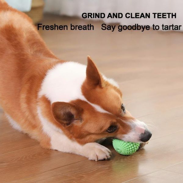 Colorful Pet Toys Made from Non Toxic Materials to Stimulate Pets and Encourage Healthy Playtime Activities