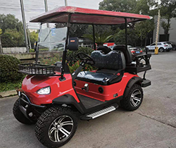 Lake Horse Electric Mini Golf Carts and UTVs with Unique Tail Caddie Design AC Controller