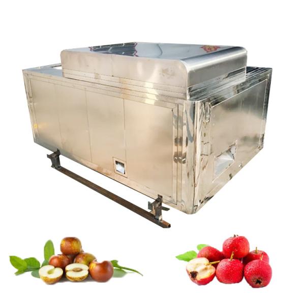 220v/380v/Customized Date Palm Seeds Removing Machine for Farm Jujube Palm Harvesting