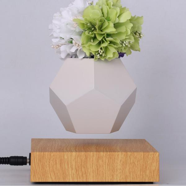 magnetic suspension air bonsai, flying plant ,levitation flower pot