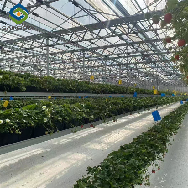 Ultraviolet Proof Double Film Strawberry Green House Large Size