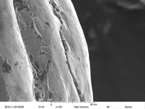 Magnification Max 60000X Scanning Electron Microscope 15nm Resolution Optional EDS