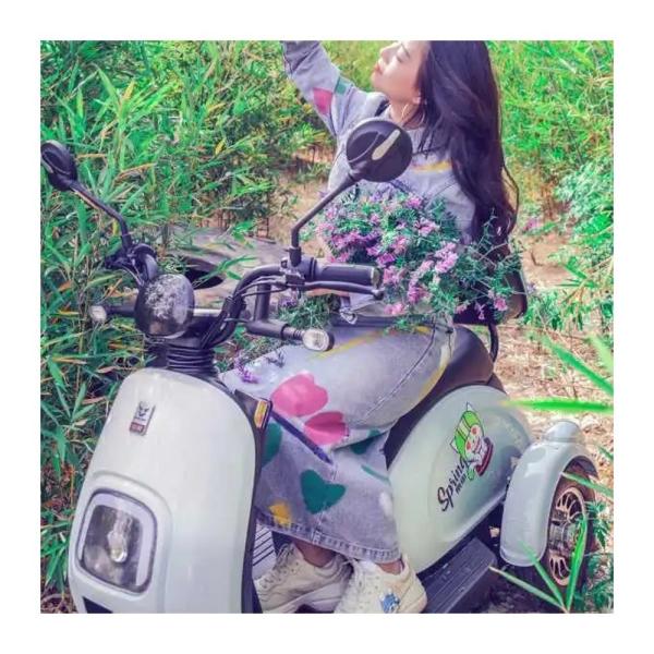 2 Passengers Electric Scooter 3 Wheel Taxi Tricycle Bicycle Car 30-50km Driving Mileage