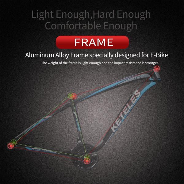 26AH 2000W High Power Two Wheel Drive Dual Motor Electric Bike with 26x4.0 inch Fat Tire