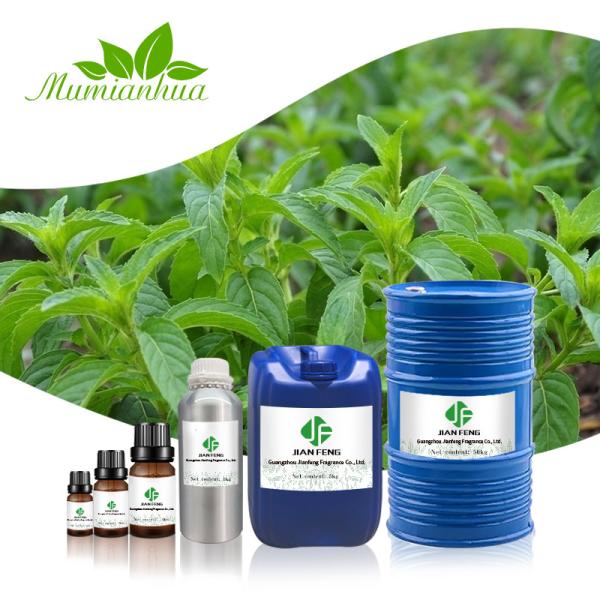 100% Pure Natural Vanilla Essential Oil OEM MSDS In Bulk Cosmetic Grade