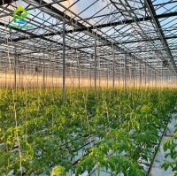 Système hydroponique Soilless agricole des serres chaudes NFT pour le désert tropical