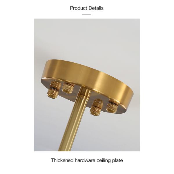 Modern Ceiling Light For Foyer Living Room Decor Children's Bedroom Kitchen Apartment flower Chandelier lamp(WH-CY-249)