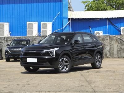 Custom Petrol Hybrid SUV Cars Automatic With 6.7L/100km Fuel Economy