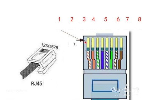 RJ45 8P8C Connector to 8 Pin Screw Terminal Block Adapter 30cm Long for Security CCTV Video Solution