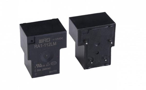 High Durability PCB Mount Relay RA1-112LM High Capacity For Home Appliances