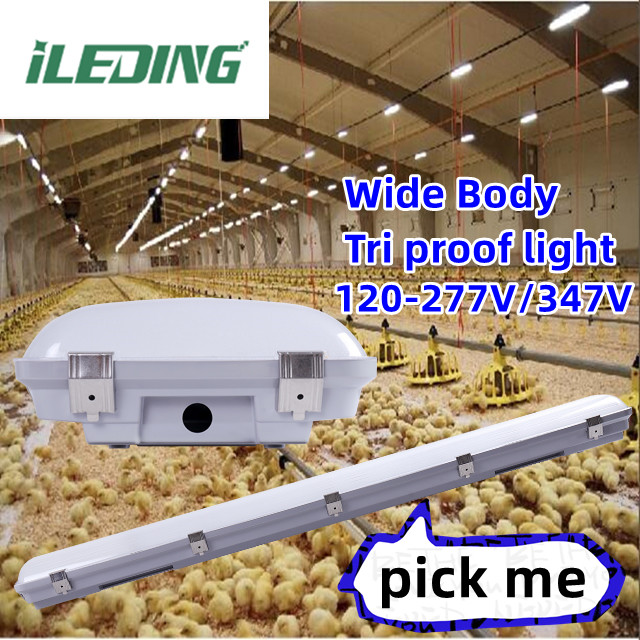 Silicon Gasket High Bay Light Fixture IP67 Waterproof 200W for Industrial Warehouse