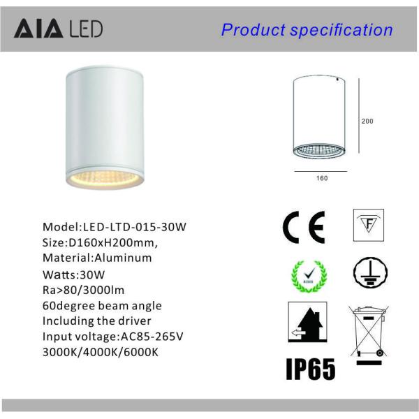 IP65 waterproof cylindrical TRIAC dimming downlight 30W 0-10V dimmable exterior led down light &outside downlight