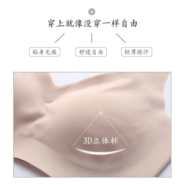 Seamless Bra Women Wholesale Ready to Ship Lady's Bralette Wire Free Comfortable A/B Cup Seamless Sporty Bra New for Women