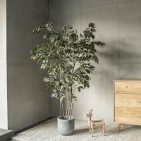 plantas em pasta artificiais simuladas verdes da árvore do ficus dos bonsais de 140cm para a decoração interna