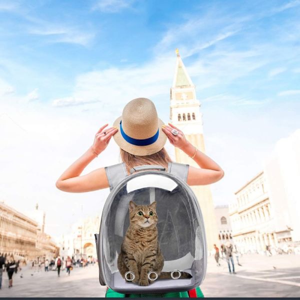 Unisex Durable Washable Non toxic Cute Pet Supplies Featuring Playful Fun Style Hiking Backpack