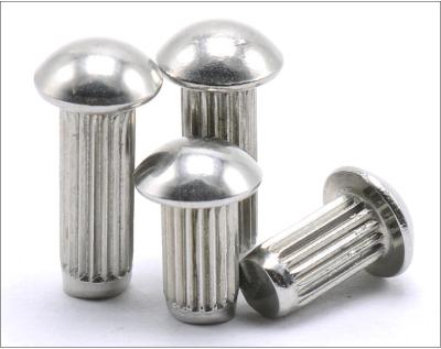 Stainless Steel Round Head Knurling Rivets Pan Head Rivets for Name Plate  Round Head Knurled Rivets