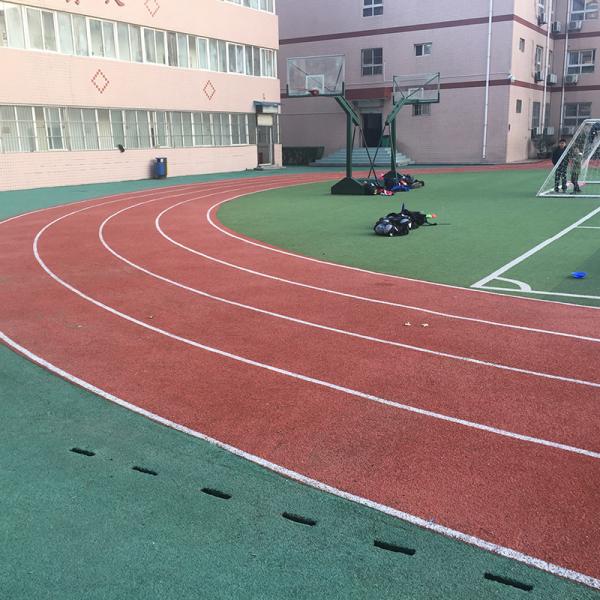 Повторно использованные 13mm ржавеют устойчивые синтетические спорт отделывают поверхность Не-ядовитый