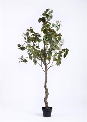 Anúncio publicitário plantas artificiais do assoalho de 7 pés que rejuvenescem a impressão deliciosa das frondas luxúrias
